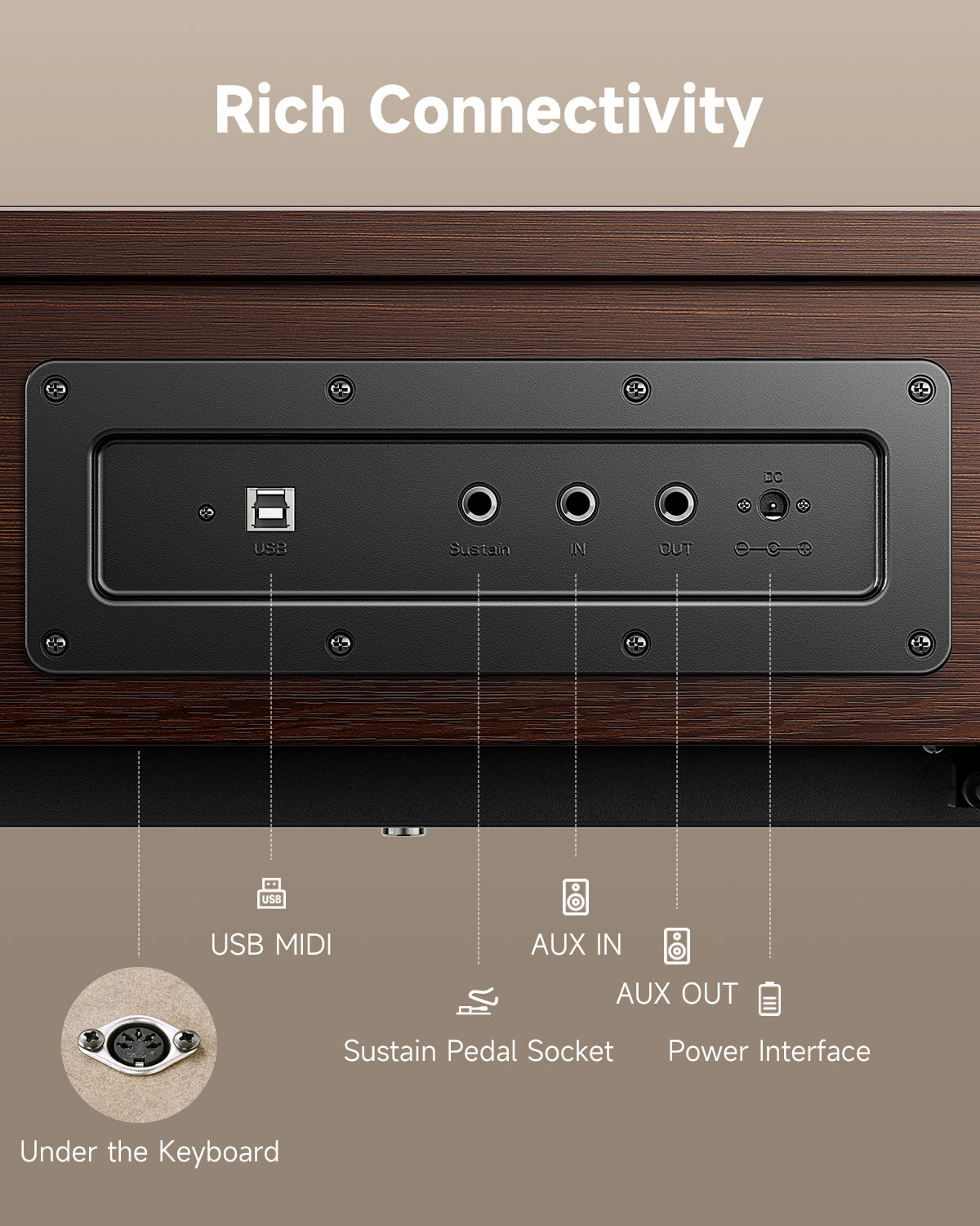 Donner OURA™ R300 Home Digital Piano-Walnut##